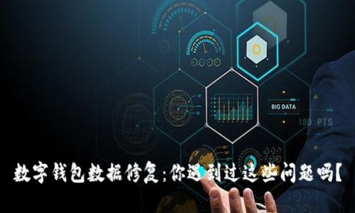 数字钱包数据修复：你遇到过这些问题吗？