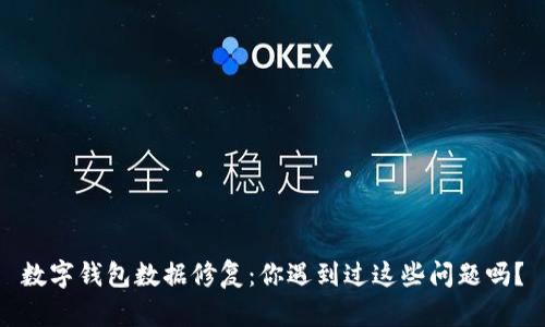 数字钱包数据修复：你遇到过这些问题吗？
