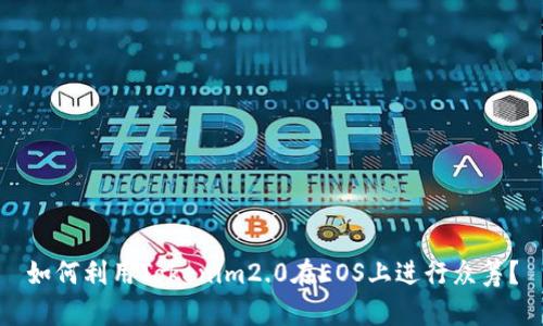 如何利用Tokenim2.0在EOS上进行众筹？