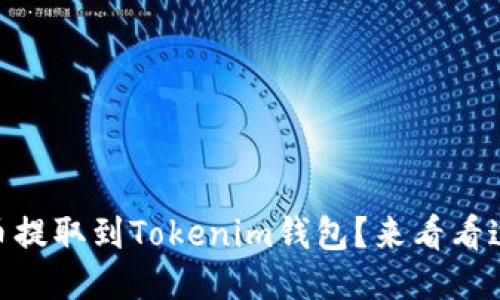 如何将SHIB币提取到Tokenim钱包？来看看这份详细指南！