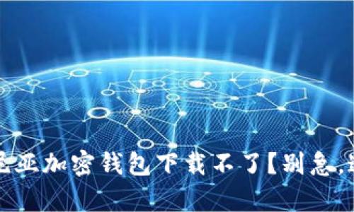 为什么我的肯尼亚加密钱包下载不了？别急，这里有解决方案