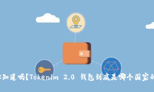 你知道吗？Tokenim 2.0 钱包到底是哪个国家的？
