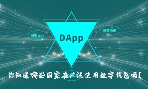 你知道哪些国家在广泛使用数字钱包吗？