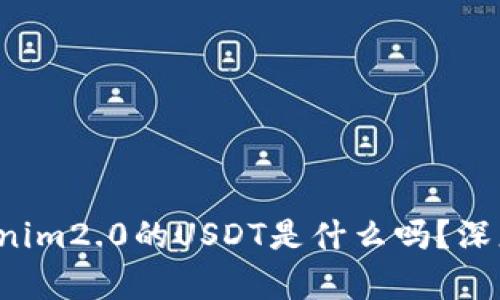 你知道tokenim2.0的USDT是什么吗？深度解析来啦！