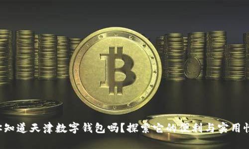 你知道天津数字钱包吗？探索它的便利与实用性！