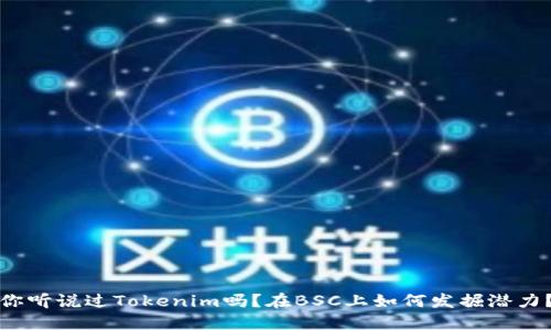 你听说过Tokenim吗？在BSC上如何发掘潜力？