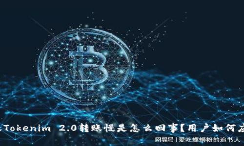 今天Tokenim 2.0转账慢是怎么回事？用户如何应对？