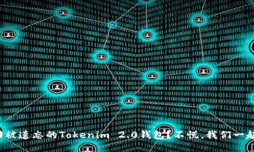 如何找回被遗忘的Tokenim 2.0钱包？不慌，我们一起来看看！