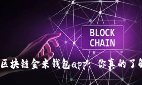 bianzi区块链金米钱包app: 你真的了解它吗？