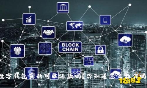 数字钱包真的可以还款吗？你知道怎么操作吗？