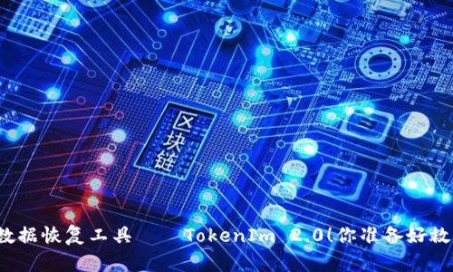 是时候迎接优秀的数据恢复工具——TokenIm 2.0！你准备好救回丢失的数据了吗？