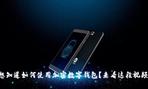 想知道如何使用加密数字钱包？来看这段视频！