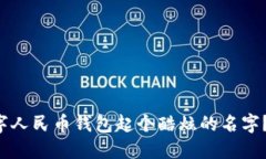 如何为数字人民币钱包起个酷炫的名字？想法分