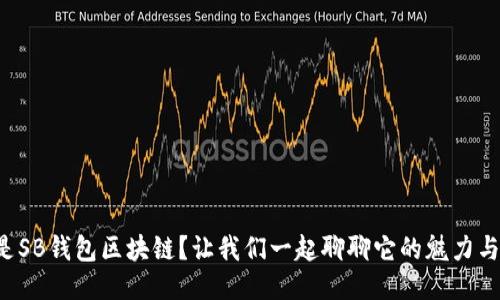 什么是SB钱包区块链？让我们一起聊聊它的魅力与未来！
