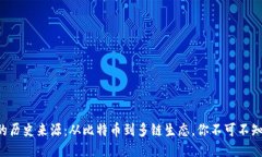 区块链钱包的历史来源：从比特币到多链生态，