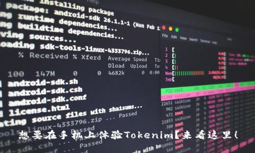 想要在手机上体验Tokenim？来看这里！