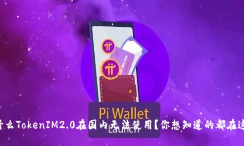 为什么TokenIM2.0在国内无法使用？你想知道的都在这里！