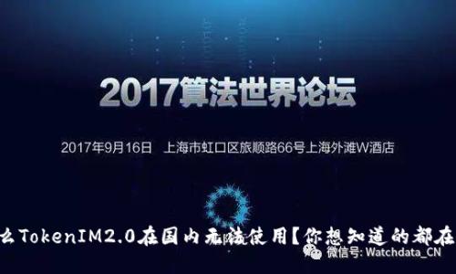 为什么TokenIM2.0在国内无法使用？你想知道的都在这里！