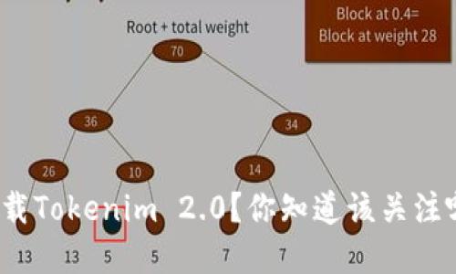 如何安全下载Tokenim 2.0？你知道该关注哪些细节吗？