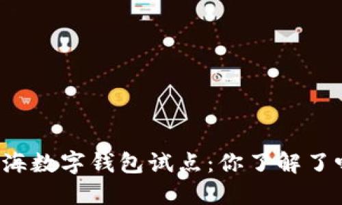 上海数字钱包试点：你了解了吗？