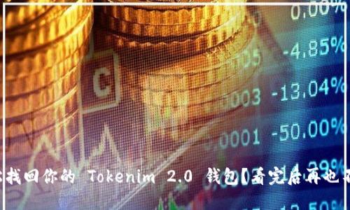 如何轻松找回你的 Tokenim 2.0 钱包？看完后再也不怕丢失！