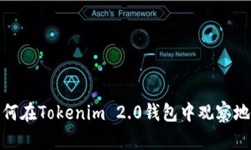 如何在Tokenim 2.0钱包中观察地址