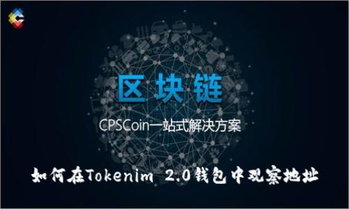 如何在Tokenim 2.0钱包中观察地址