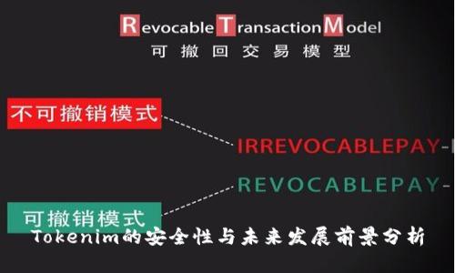 Tokenim的安全性与未来发展前景分析