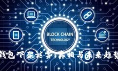 数字钱包下架谜雾：真相与未来趋势解析