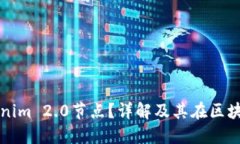 什么是Tokenim 2.0节点？详解及其在区块链中的应用