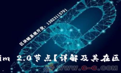 什么是Tokenim 2.0节点？详解及其在区块链中的应用