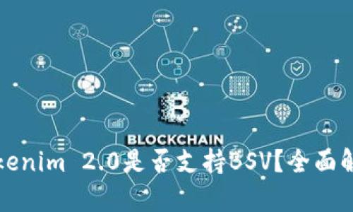 Tokenim 2.0是否支持BSV？全面解析