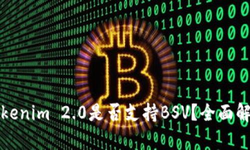 Tokenim 2.0是否支持BSV？全面解析