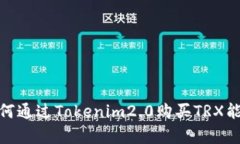 bishuang如何通过Tokenim2.0购买TRX能量：全面指南