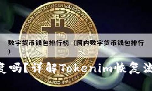 Tokenim能恢复吗？详解Tokenim恢复流程及注意事项