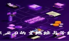 TokenIM 2.0的主地址与子地址详解