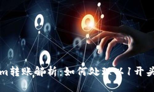 Tokenim转账解析：如何处理以1开头的交易