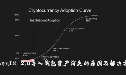TokenIM 2.0导入钱包资产消失的原因及解决方法