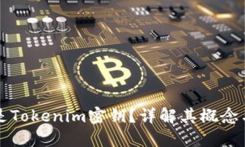 什么是Tokenim密钥？详解其概念与应用