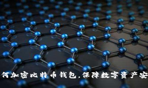 如何加密比特币钱包，保障数字资产安全