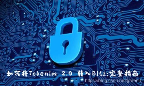 如何将Tokenim 2.0 转入Bitz：完整指南