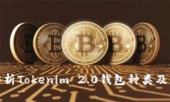 全面解析Tokenim 2.0钱包种类