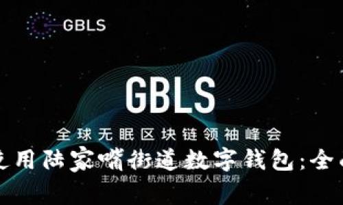 如何使用陆家嘴街道数字钱包：全面指南