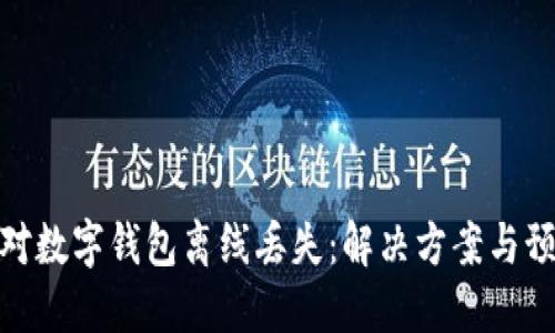 如何应对数字钱包离线丢失：解决方案与预防措施