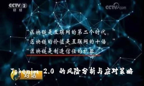 Tokenim 2.0 的风险分析与应对策略