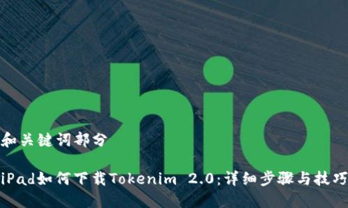 和关键词部分

iPad如何下载Tokenim 2.0：详细步骤与技巧