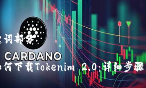 和关键词部分

iPad如何下载Tokenim 2.0：详细步骤与技巧