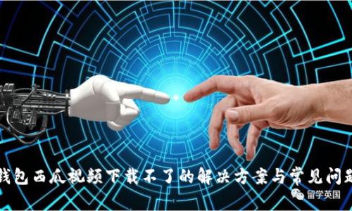 数字钱包西瓜视频下载不了的解决方案与常见问题分析